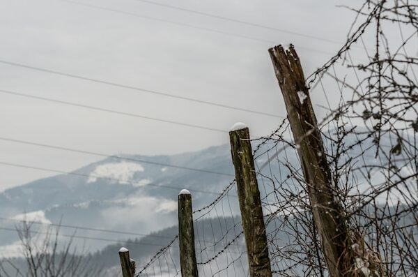 Mais Segurança e Proteção para Seu Imóvel: Conheça os Tipos de Cerca Elétrica.